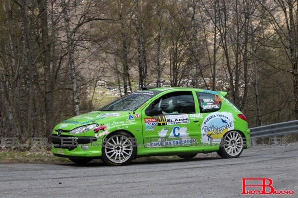 Peugeot 206 RC Group N3, samochód topowy, silnik 190 KM (ukończone 3 wyścigi)