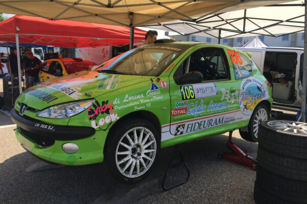 Peugeot 206 RC Group N3, samochód topowy, silnik 190 KM (ukończone 3 wyścigi)